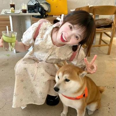 逆袭之星途璀璨